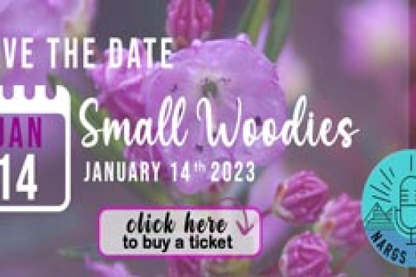 Buy a ticket to Small Woodies