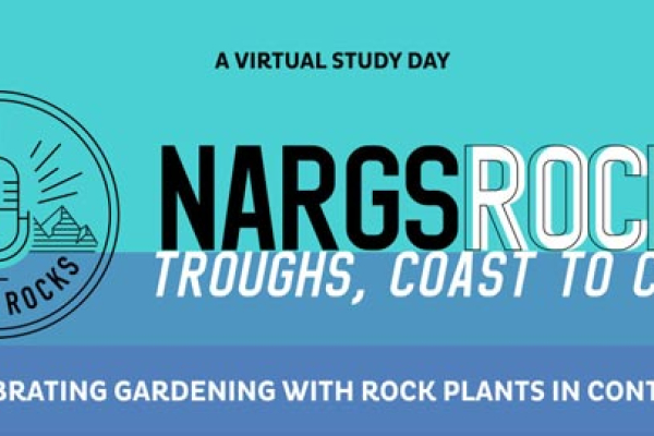 NARGS Rocks