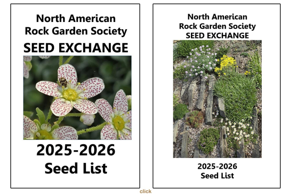 NARGS 2025-226 Seedex