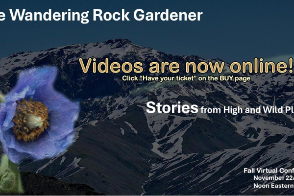 The Wandering Rock Gardener Videos