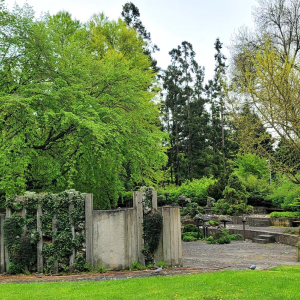 Amphitheater approach Mendel