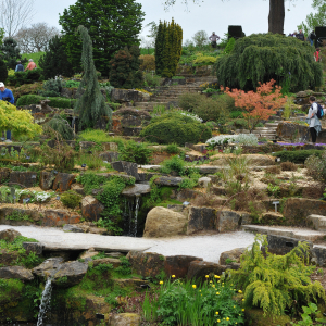 Wisley rockery
