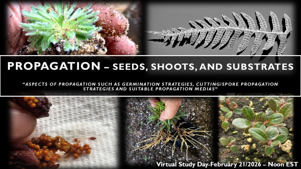 Propagation - Seeds, Shoots, and Substrates
