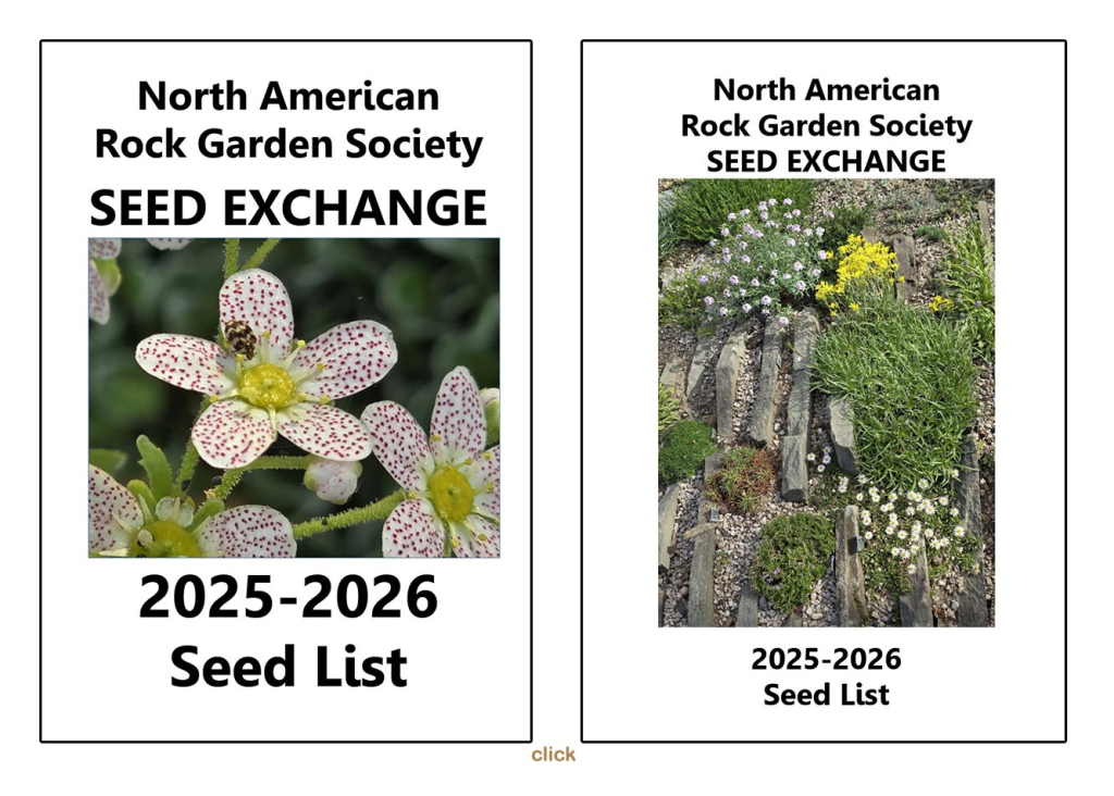 NARGS 2025-226 Seedex