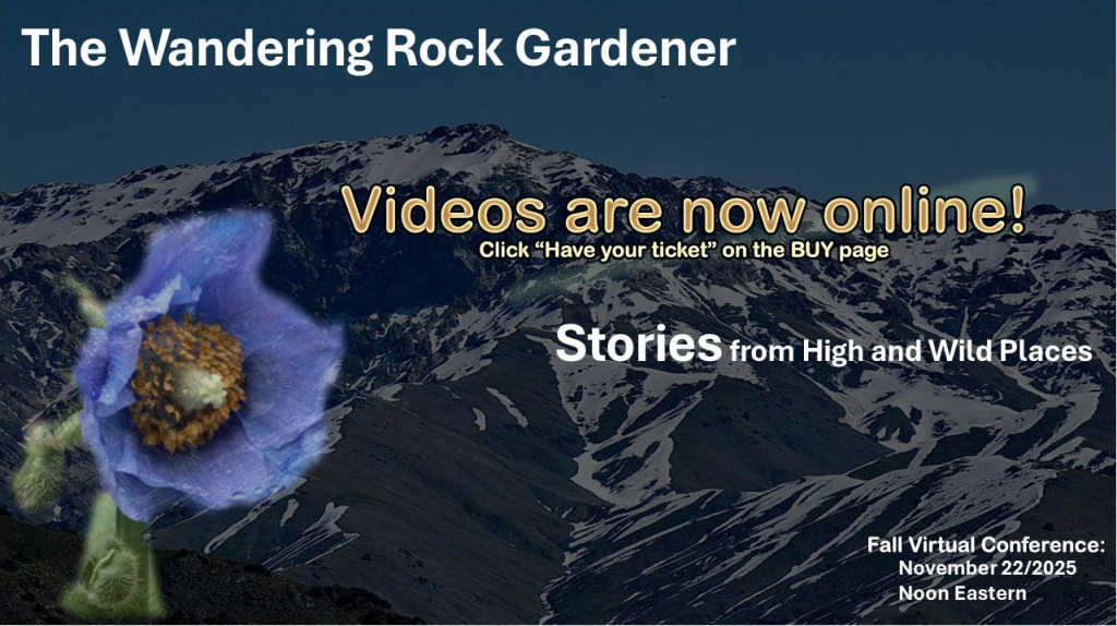 The Wandering Rock Gardener Videos