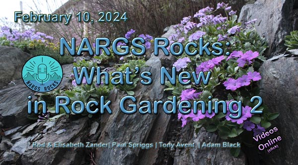 NARGS Rocks: What's New 2