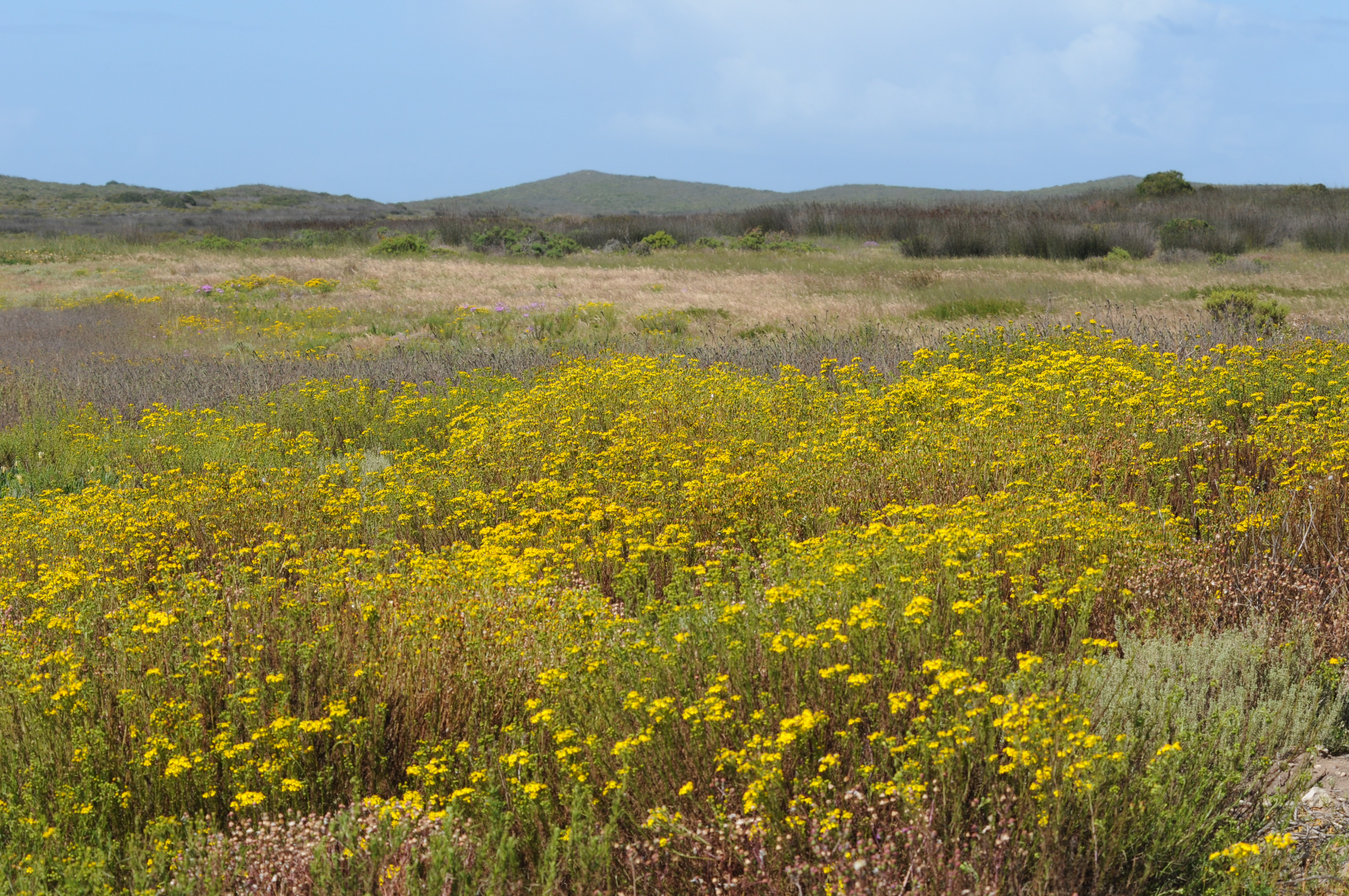 West Coast National Park