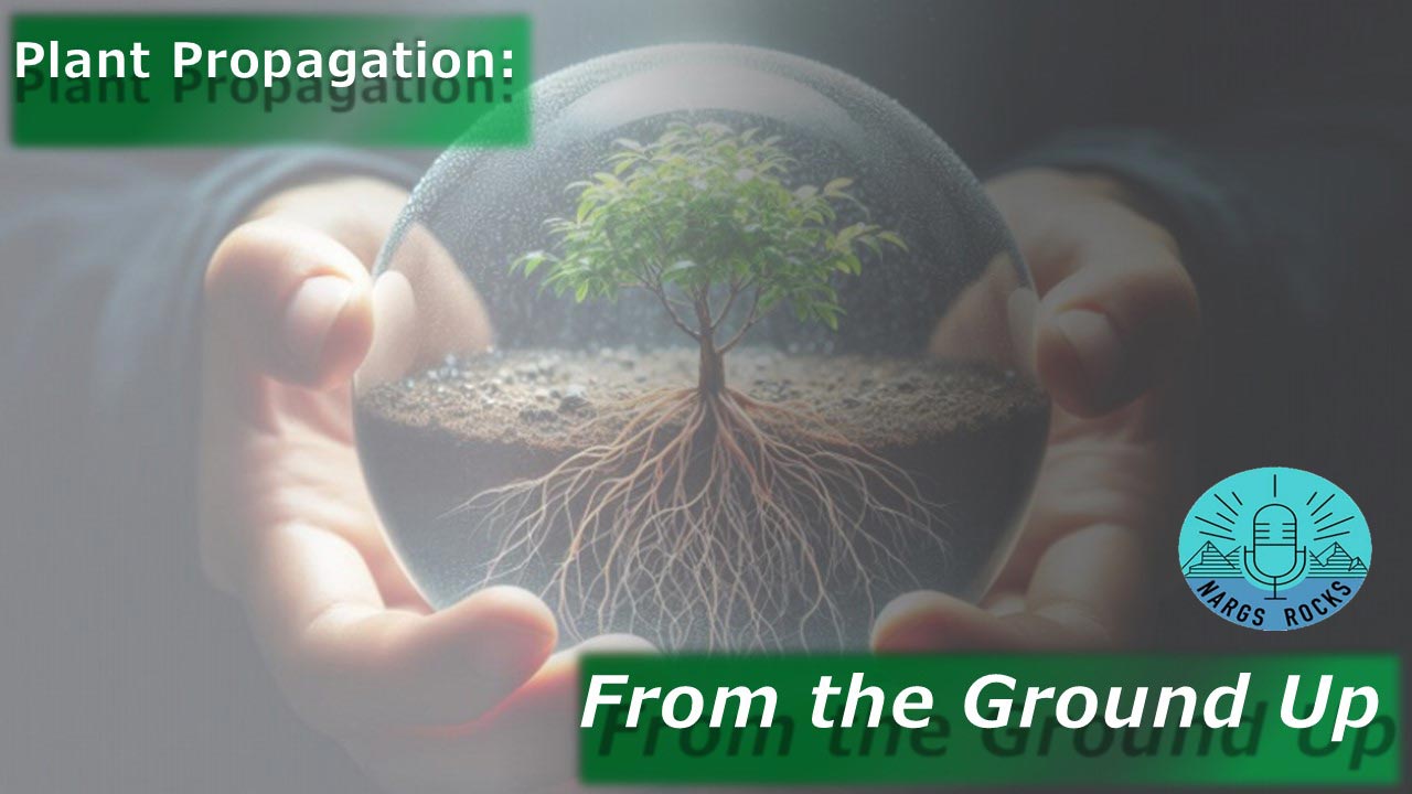 Plant-Propagation-From-the-Ground-Up