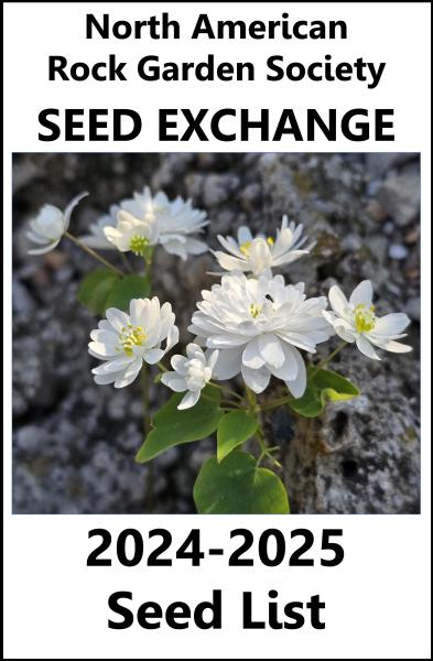 Seedlist cover photo of semi-double Anemonella thalictroides