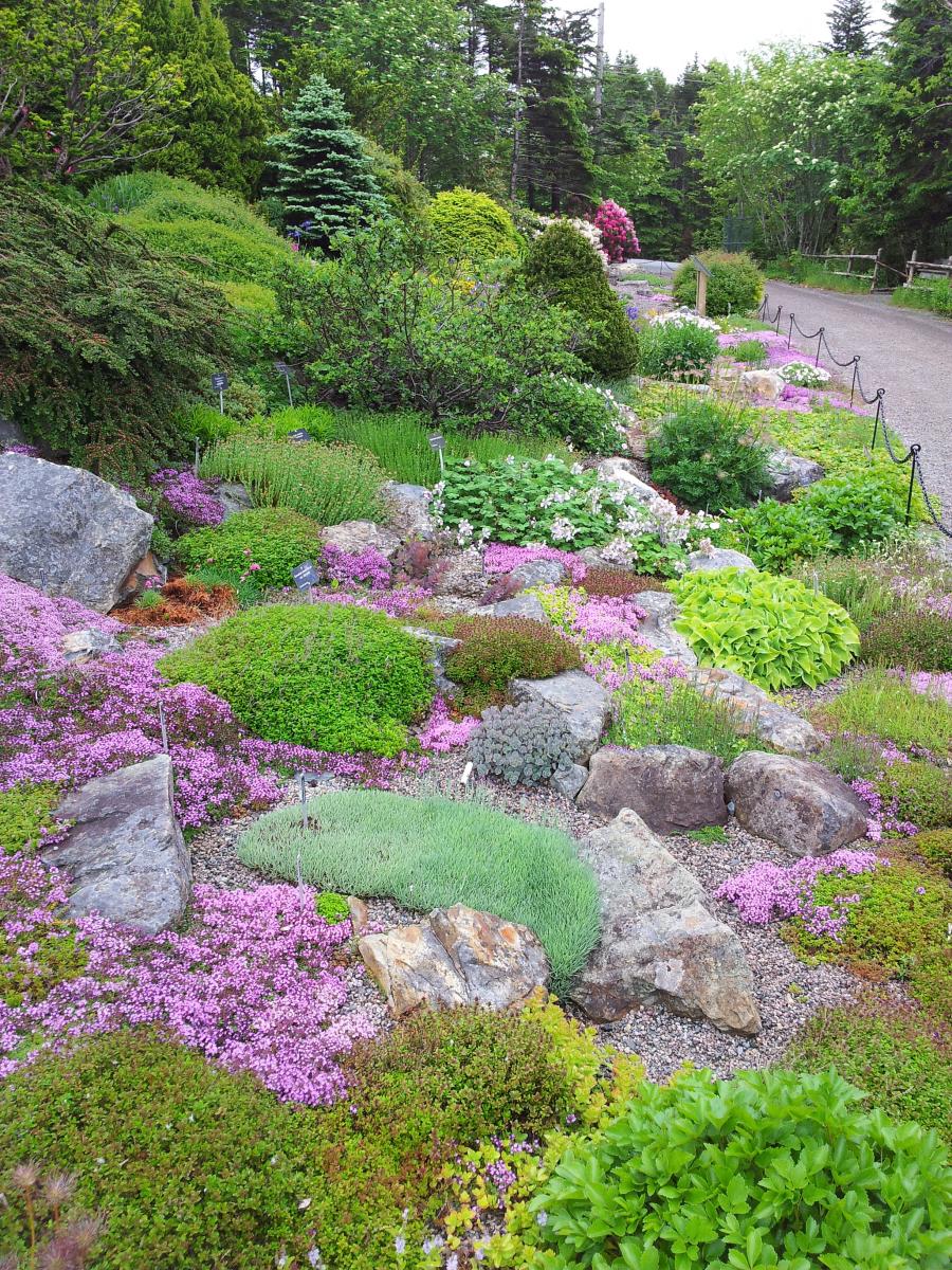 Memorial University of Newfoundland Botanical Garden | North American ...