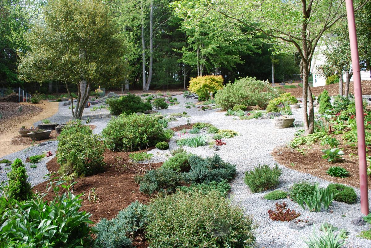 Rock Garden With Two Types Of Mulch North American Rock Garden