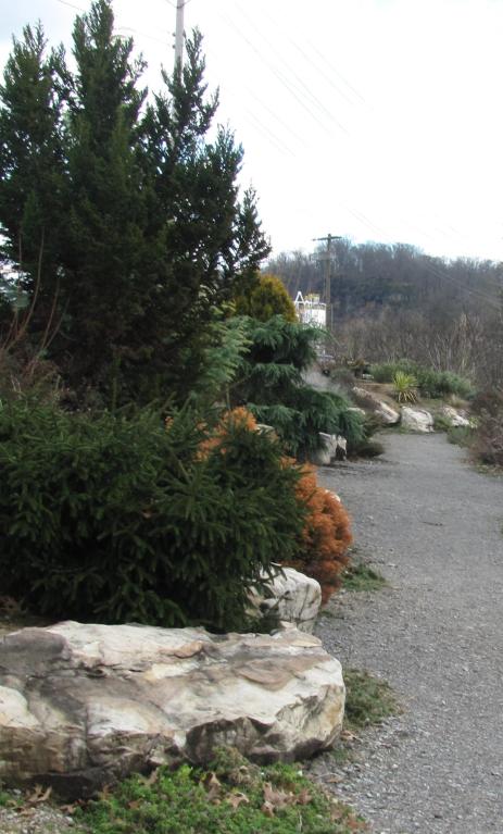 Even during the winter, conifers and boulders provide interest.   