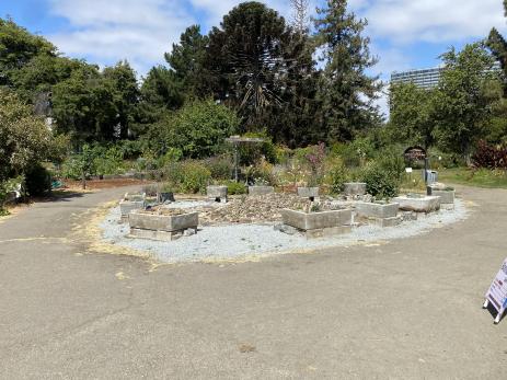View of the rock garden and  the surrounding troughs