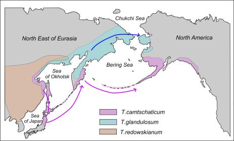 Range of Therorhodion species, with arrows showing their past migrations. 