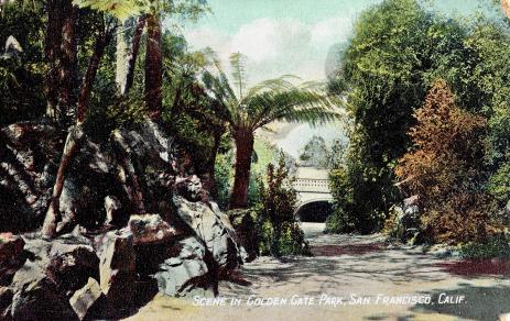 A turn-of-the-century postcard looking north from the rockery to the Conservatory of Flowers in the distance.’