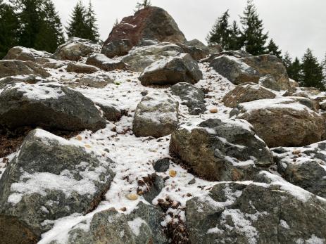 The rock garden in the snow