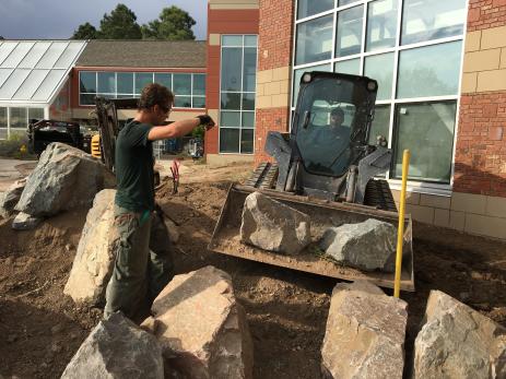 Placing the rocks for the crevice garden.