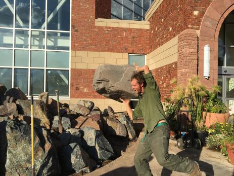 Kenton Seth moving rocks into place in the new crevice garden.