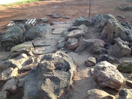 Stone pathway leading through the rock garden.