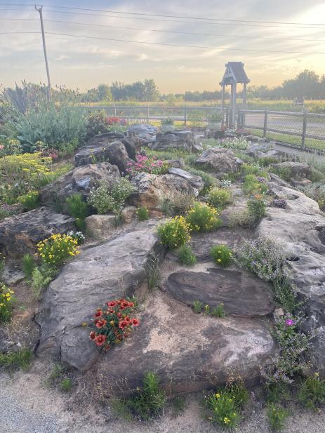 View of the rock garden    