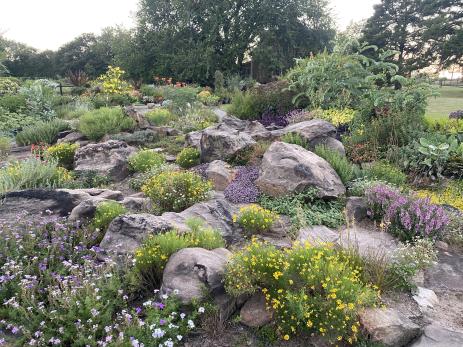 Rock garden in full bloom