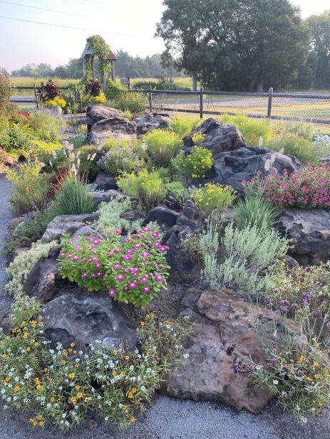 Rock garden with Zinnia angustifolia blooming in the front.