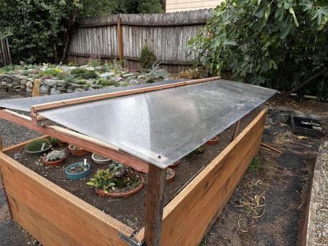 The alpine frame with the cover in place to protect plants from excess rainfall