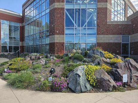 View of the crevice garden