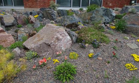 The Crevice Garden in May 2020