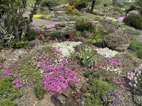 View of the garden