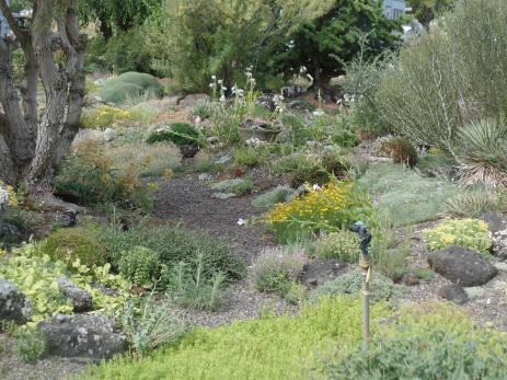 View in Kathy’s garden (Photo by Leigh Blake)