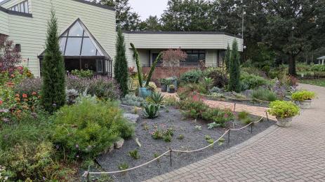 View of the Gravel Garden from the left side.