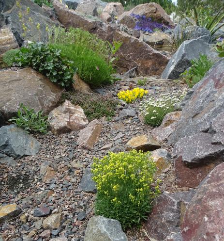 Vista within the Crevice Garden