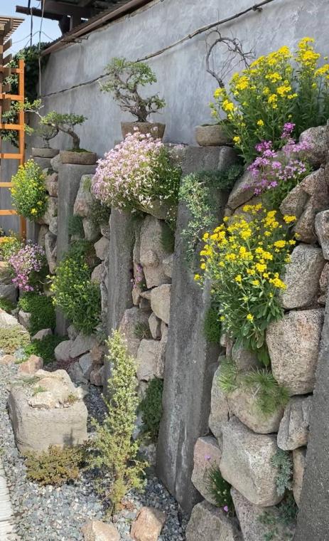 The granite wall gardens