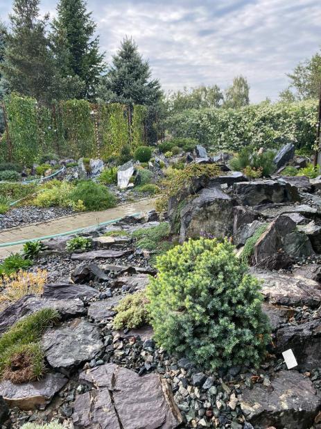 The rock garden