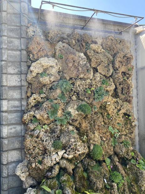 The completed tufa wall with automatic misting system to keep it cool