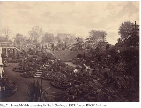 Views of the Royal Botanic Garden, Ediburgh’s rock garden  circa 1877.  Images courtesy of the RBGE archives.