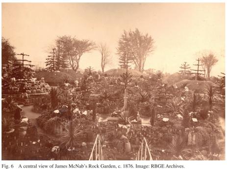 Views of the Royal Botanic Garden, Ediburgh’s rock garden  circa 1876.  Images courtesy of the RBGE archives.