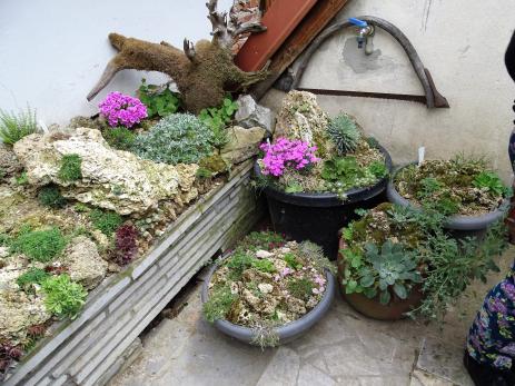 Troughs in Zdenek’s garden.