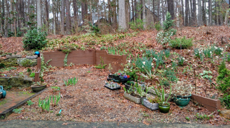 The space before constructing the crevice garden.