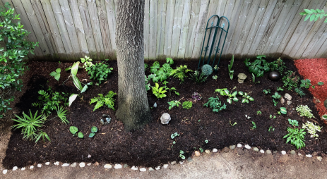 New shade planting in the new garden.