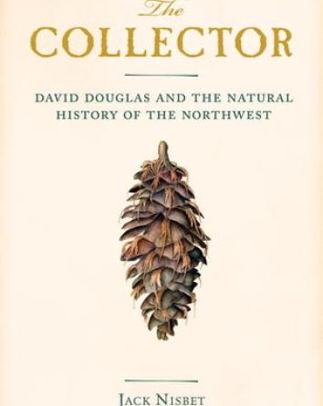 The Collector: book cover