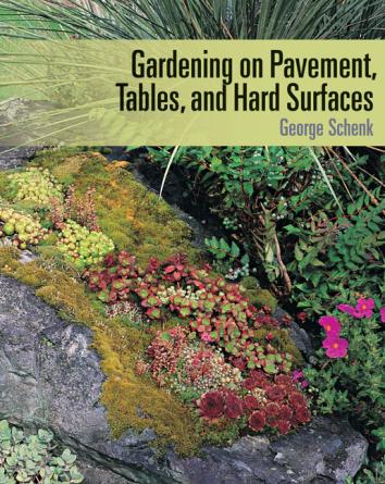 Gardening on Pavement, Tables, and Hard Surfaces book cover