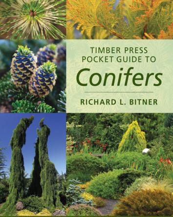Pocket Guide to Conifers book cover