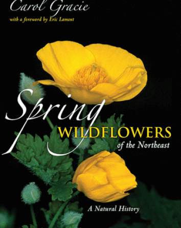 Spring Wildflowers of the Northeast: book cover