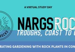 NARGS Rocks