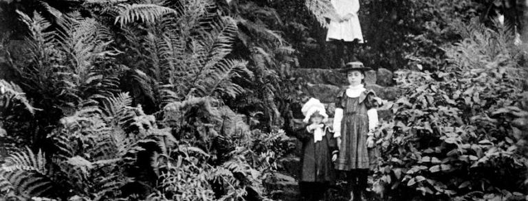 A circa 1900 photograph looking west of the rockery’s rustic stone stairway.