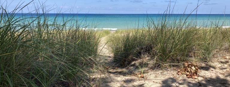 Lake Michigan seen from the dunes