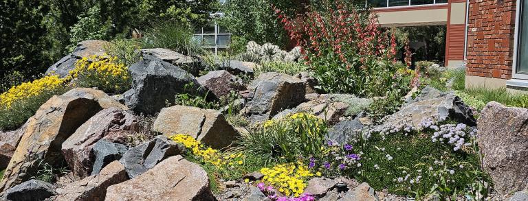 The Crevice Garden at the Cheyenne Botanic Gardens.