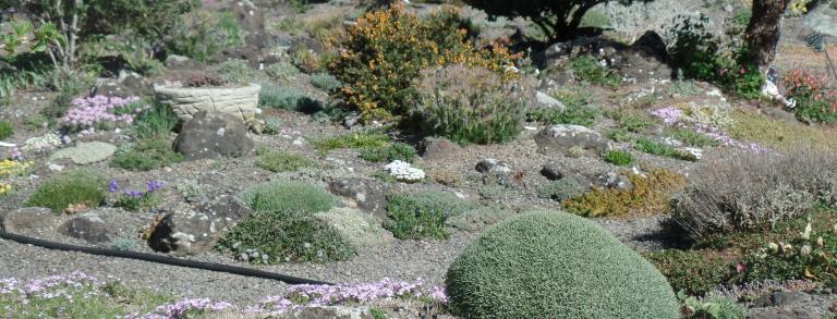 View in Kathy’s garden (Photo by Leigh Blake)